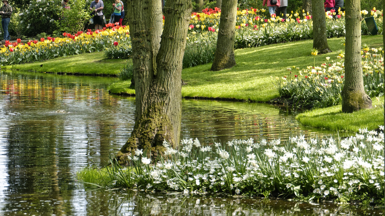 20140423 120119 Keukenhof Gardens, Lisse, South Holland, Netherlands